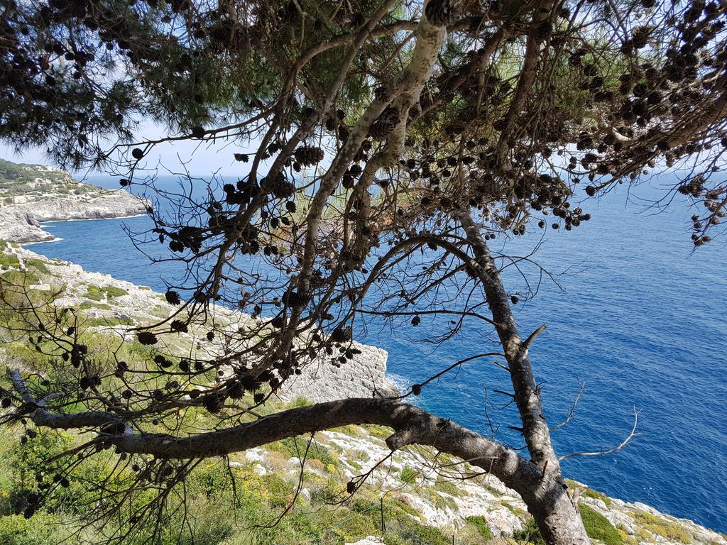 Villa Bocca Del Pozzo غاليانو دل كابو المظهر الخارجي الصورة