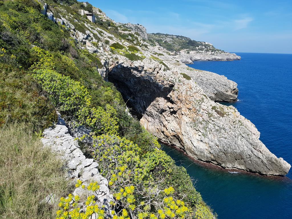 Villa Bocca Del Pozzo غاليانو دل كابو المظهر الخارجي الصورة