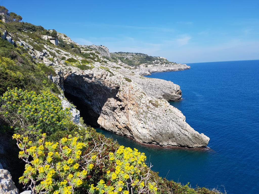 Villa Bocca Del Pozzo غاليانو دل كابو المظهر الخارجي الصورة