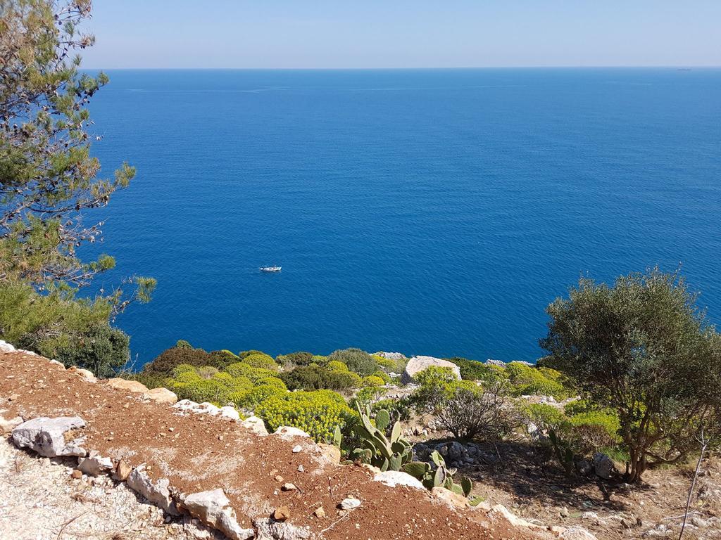 Villa Bocca Del Pozzo غاليانو دل كابو المظهر الخارجي الصورة