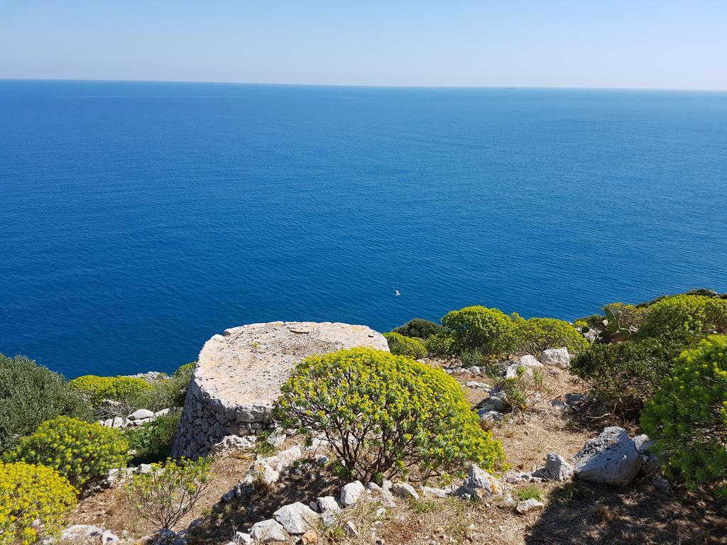 Villa Bocca Del Pozzo غاليانو دل كابو المظهر الخارجي الصورة